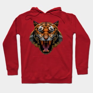 Angry Tiger Hoodie